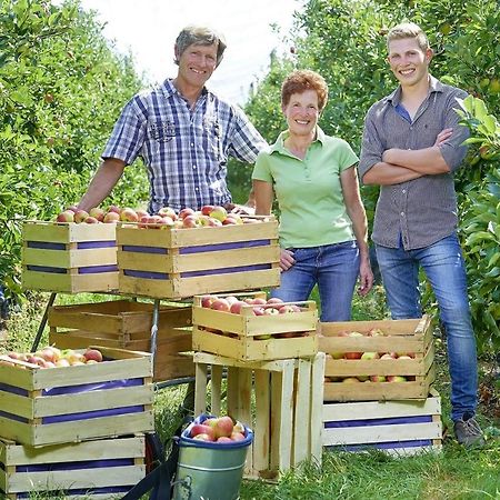 Winzerhof Woerner Apartman Durbach Kültér fotó