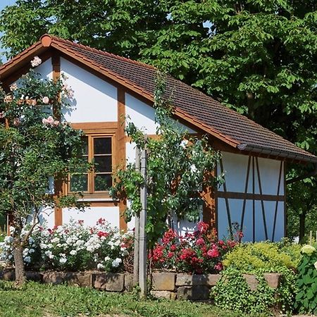 Winzerhof Woerner Apartman Durbach Kültér fotó