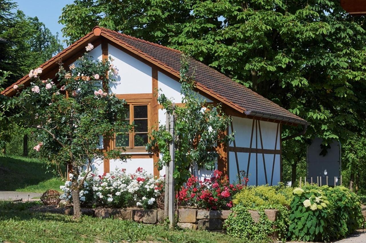 Winzerhof Woerner Apartman Durbach Kültér fotó